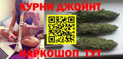 сатива Рязань