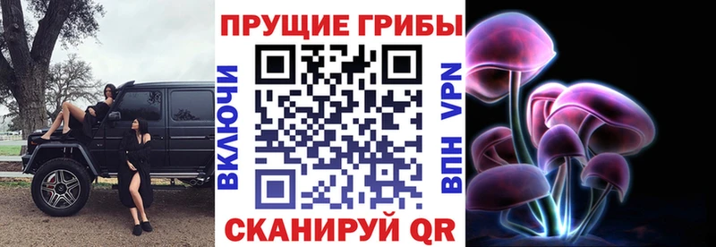 Галлюциногенные грибы Psilocybine cubensis  купить   Химки 