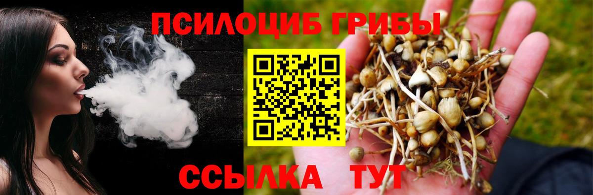 Псилоцибиновые грибы Psilocybe Химки